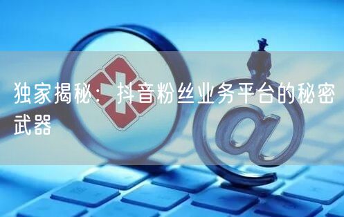 独家揭秘：抖音粉丝业务平台的秘密武器